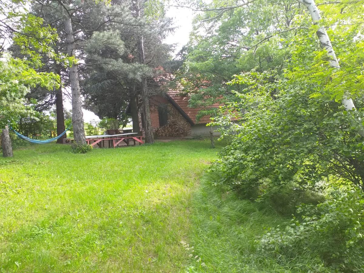 Lodging Vidmar Sremski Karlovci Exterior foto
