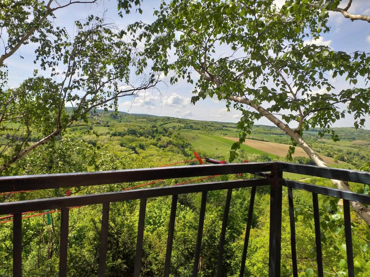 Lodging Vidmar Sremski Karlovci Exterior foto