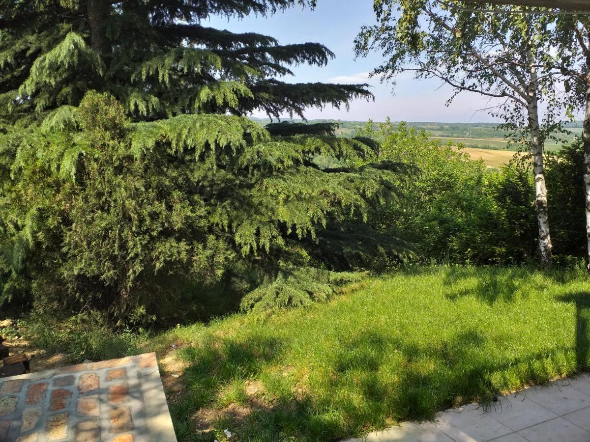 Lodging Vidmar Sremski Karlovci Exterior foto