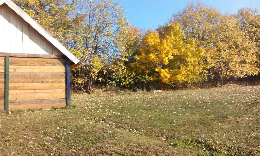 Lodging Vidmar Sremski Karlovci Habitación foto