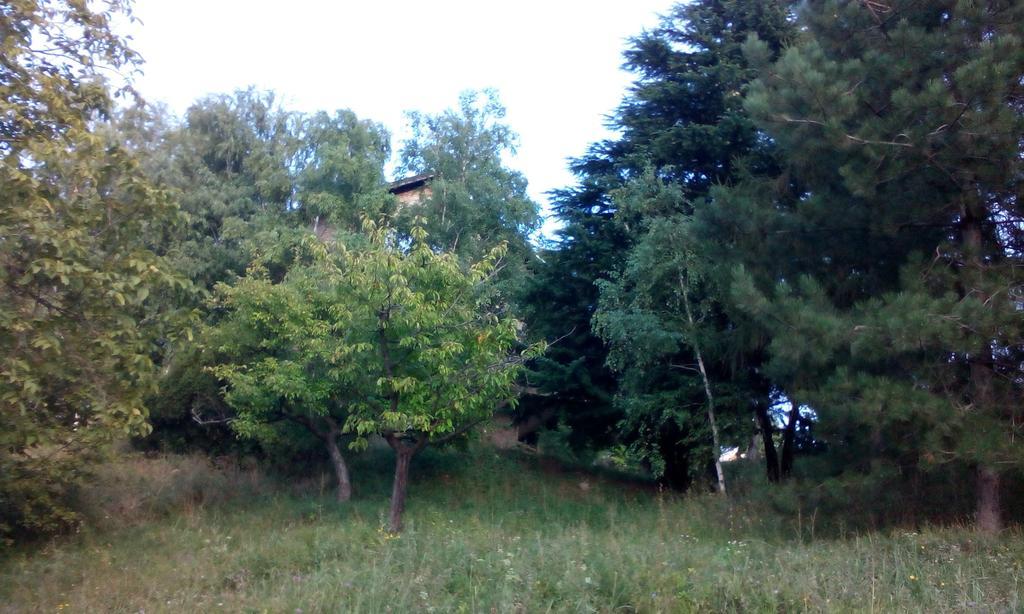 Lodging Vidmar Sremski Karlovci Habitación foto