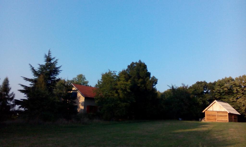 Lodging Vidmar Sremski Karlovci Habitación foto