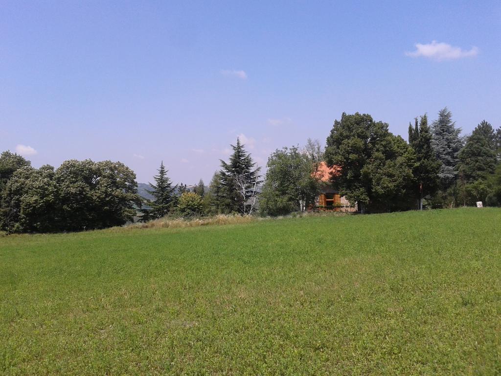 Lodging Vidmar Sremski Karlovci Habitación foto