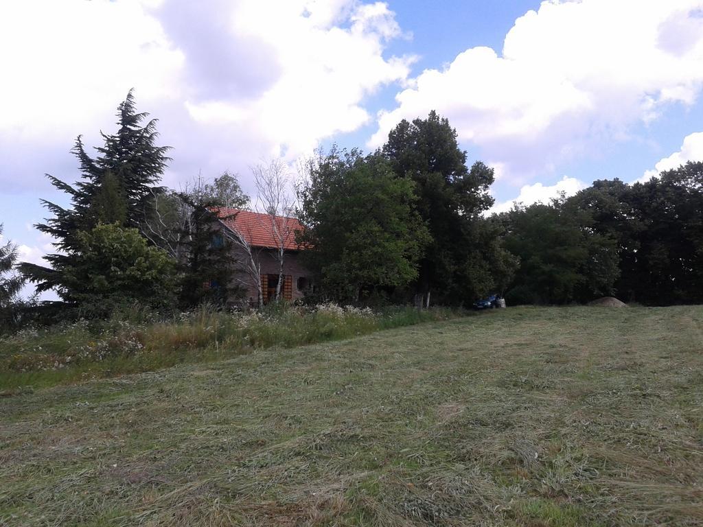 Lodging Vidmar Sremski Karlovci Exterior foto