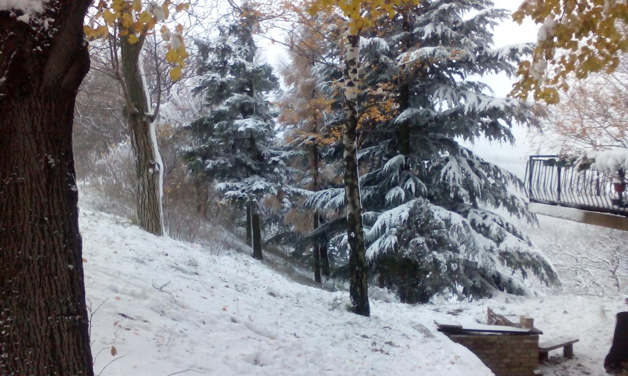 Lodging Vidmar Sremski Karlovci Exterior foto