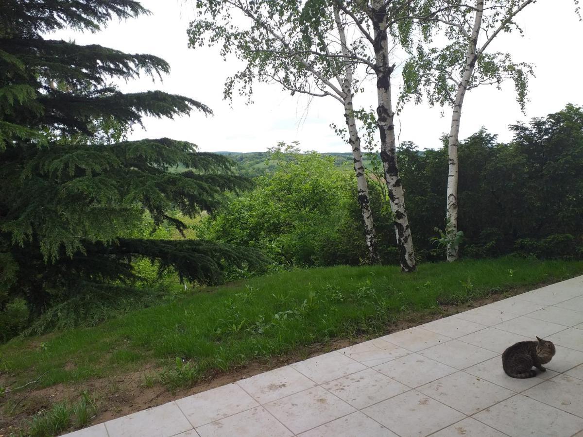 Lodging Vidmar Sremski Karlovci Exterior foto